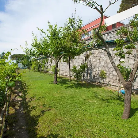 Mambrini סורנטו